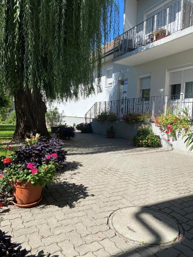 Gaestehaus & Weingut Klein Illmitz Exterior foto